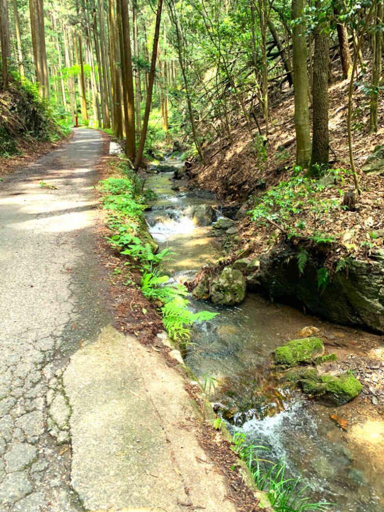 五常の滝を過ぎた後の峠までの道々の様子