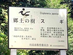 天神社＠日高市北平沢