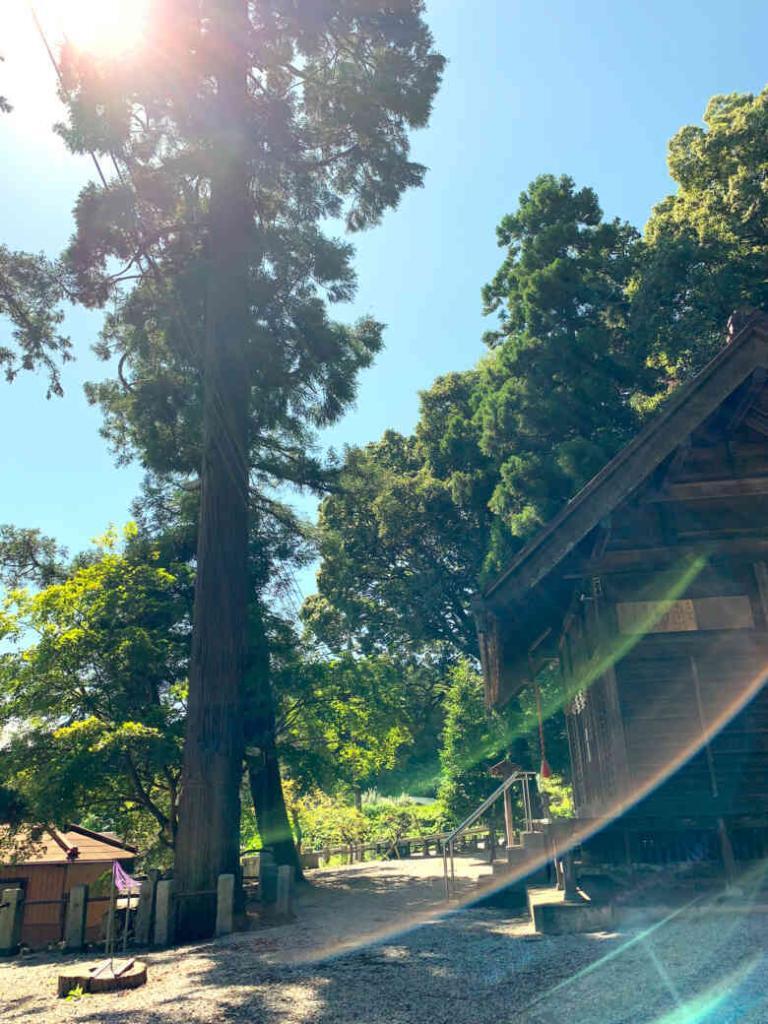 天神社＠日高市北平沢