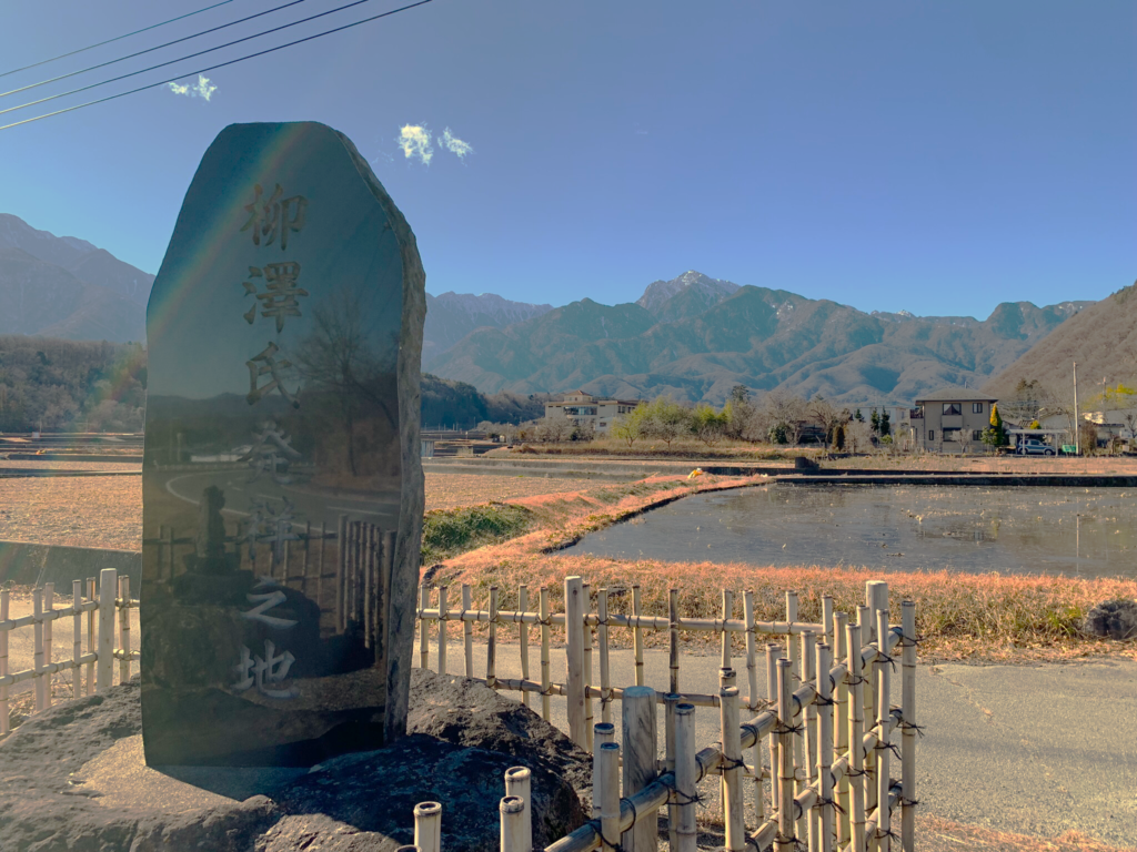 柳沢