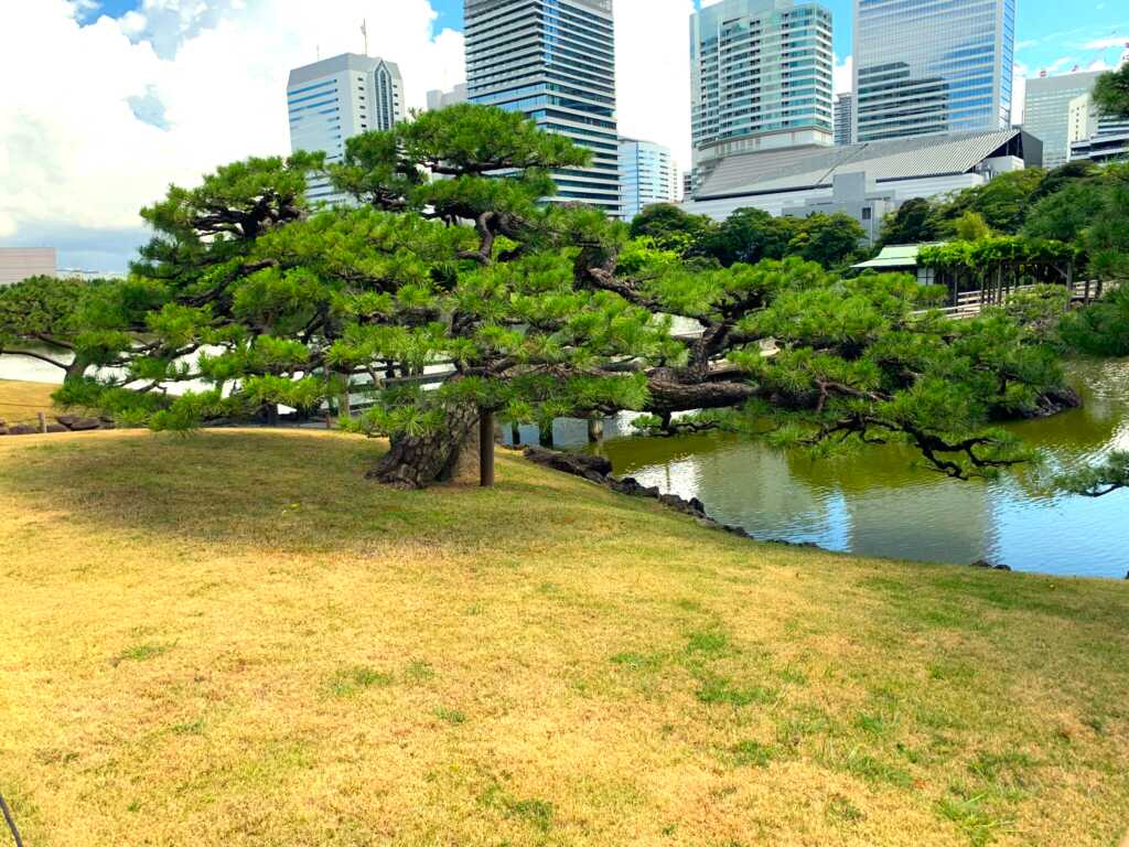 浜離宮