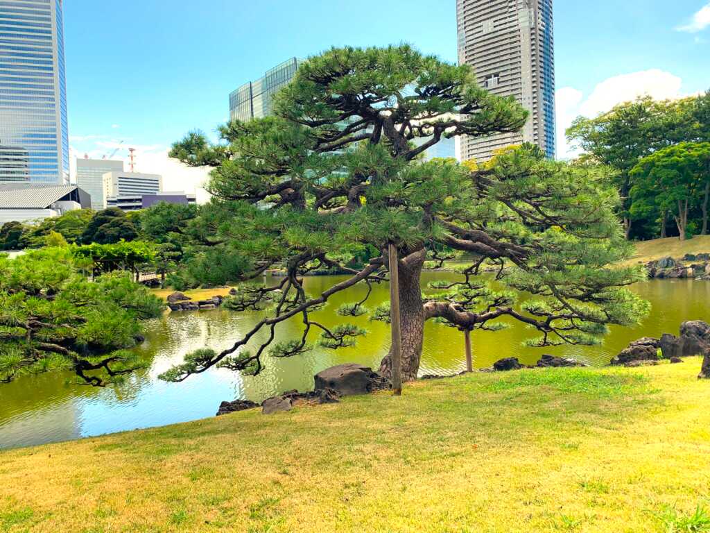 浜離宮