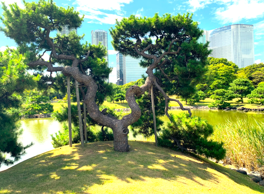 浜離宮