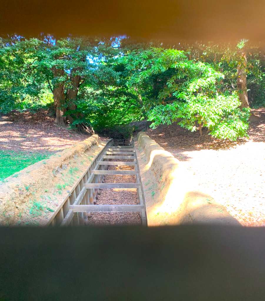 浜離宮