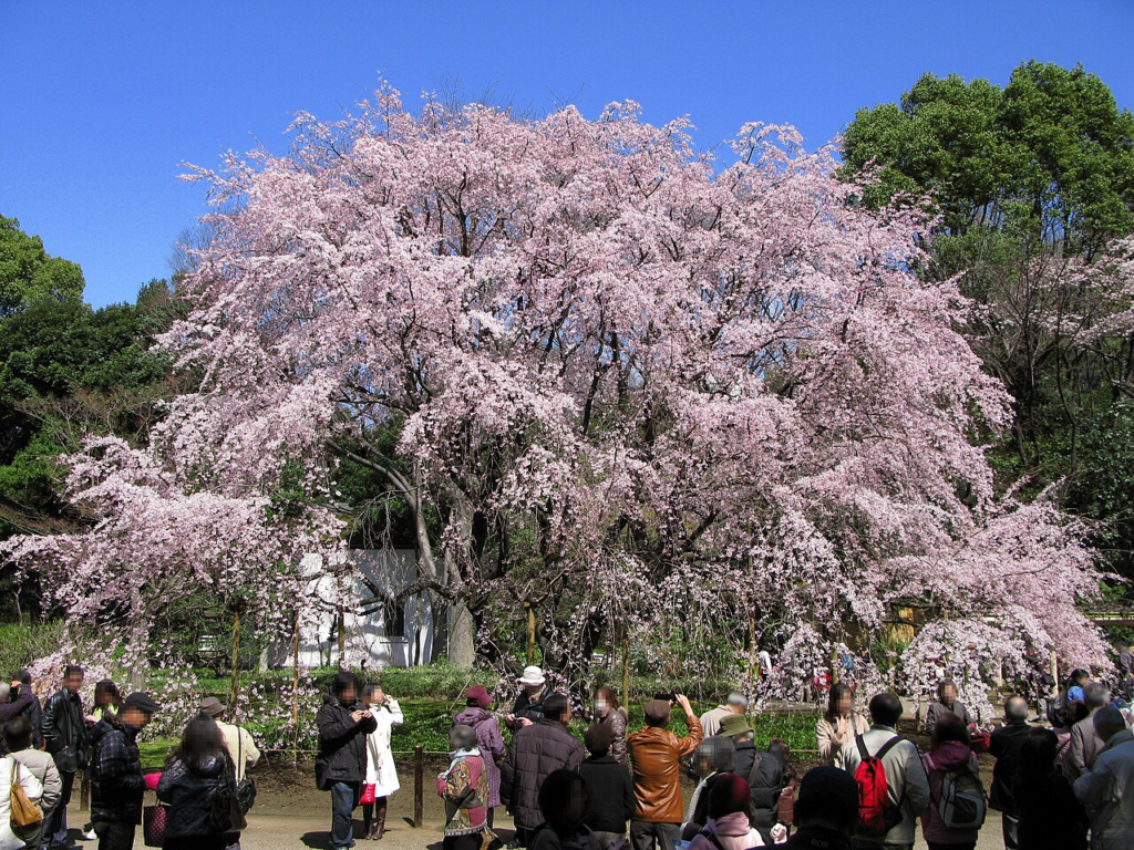 六義園