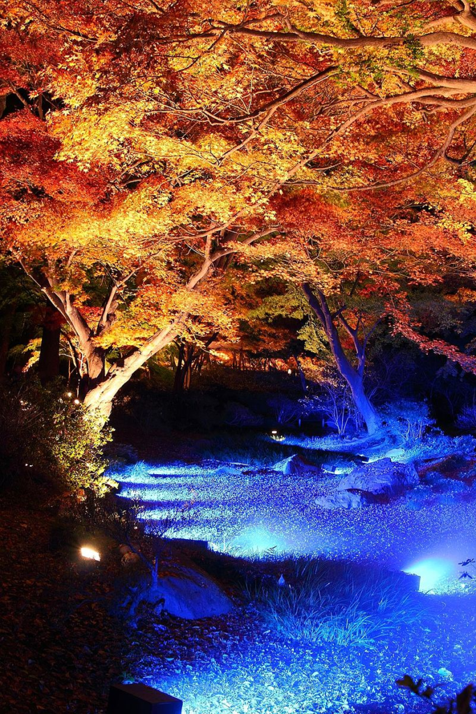 六義園