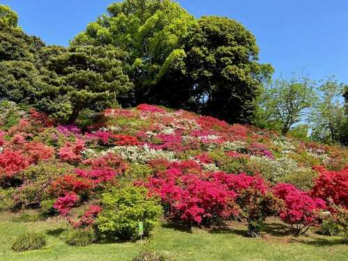 六義園