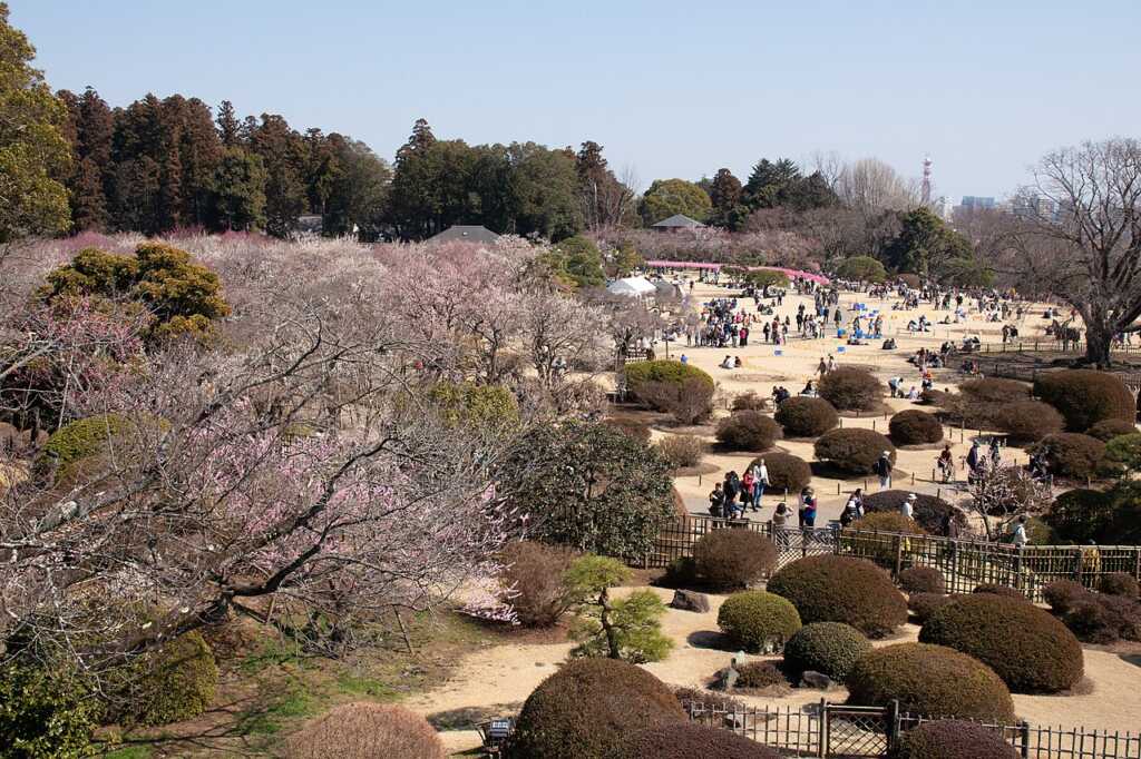 偕楽園