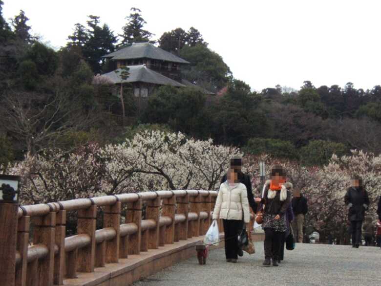 偕楽園