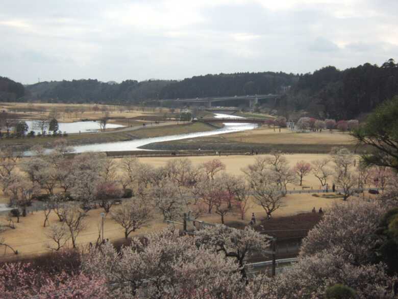 偕楽園