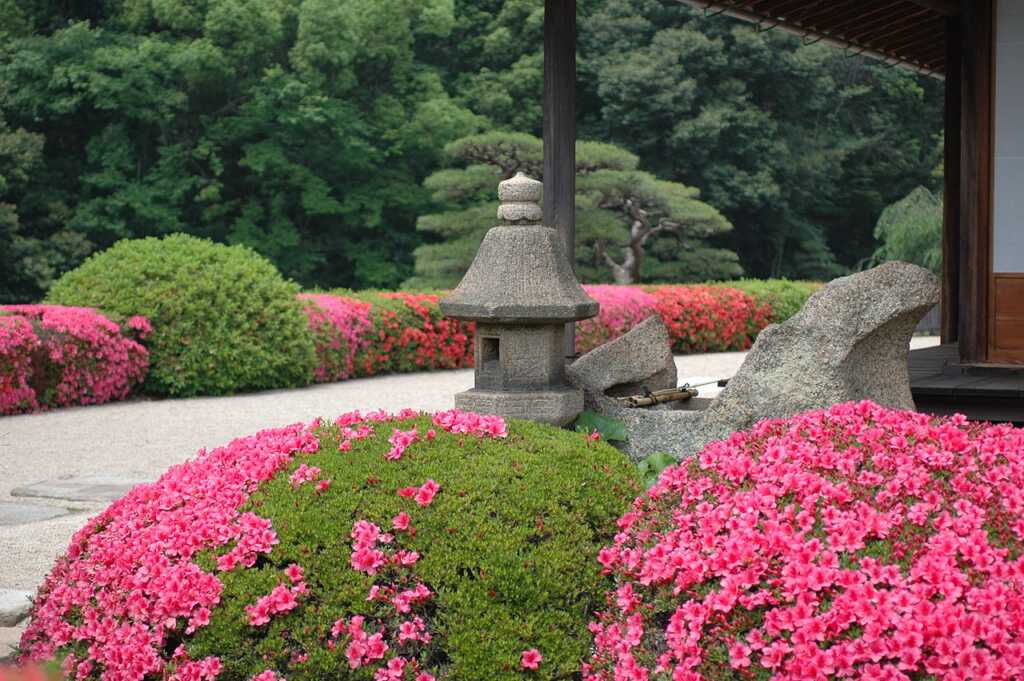 岡山後楽園
