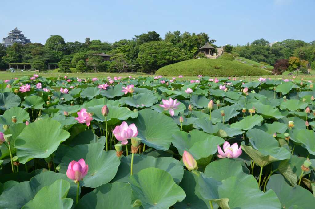 岡山後楽園