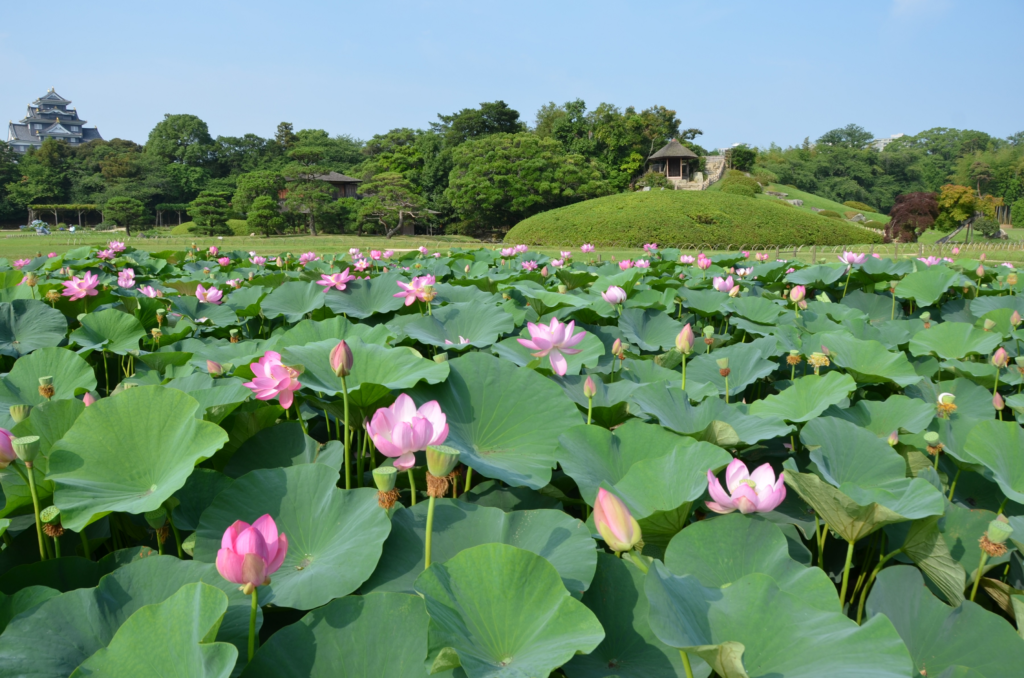 岡山後楽園