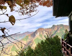 三峯神社　奧宮遙拜殿からの景色