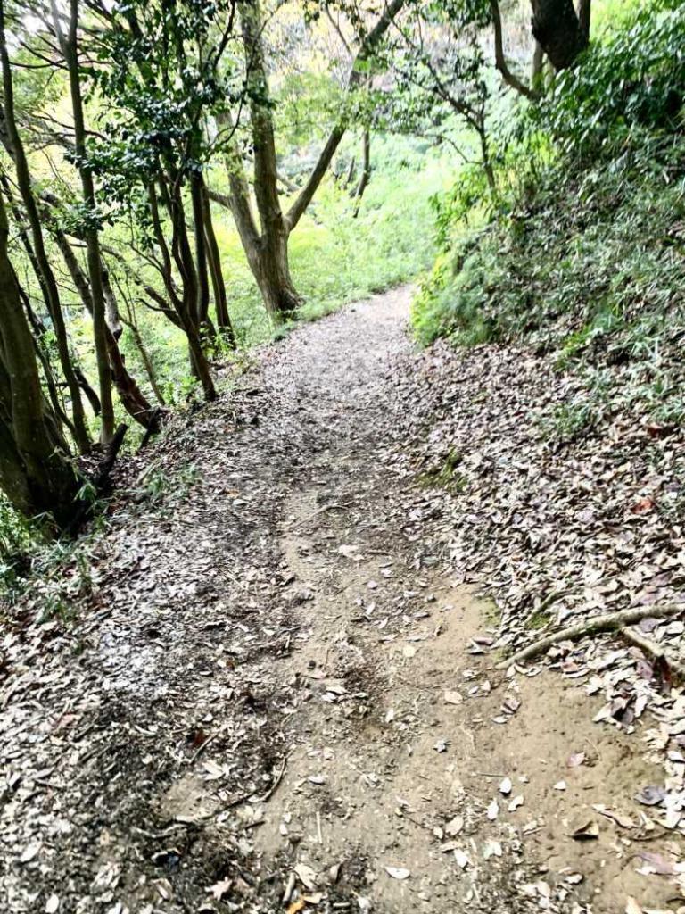 八王子城