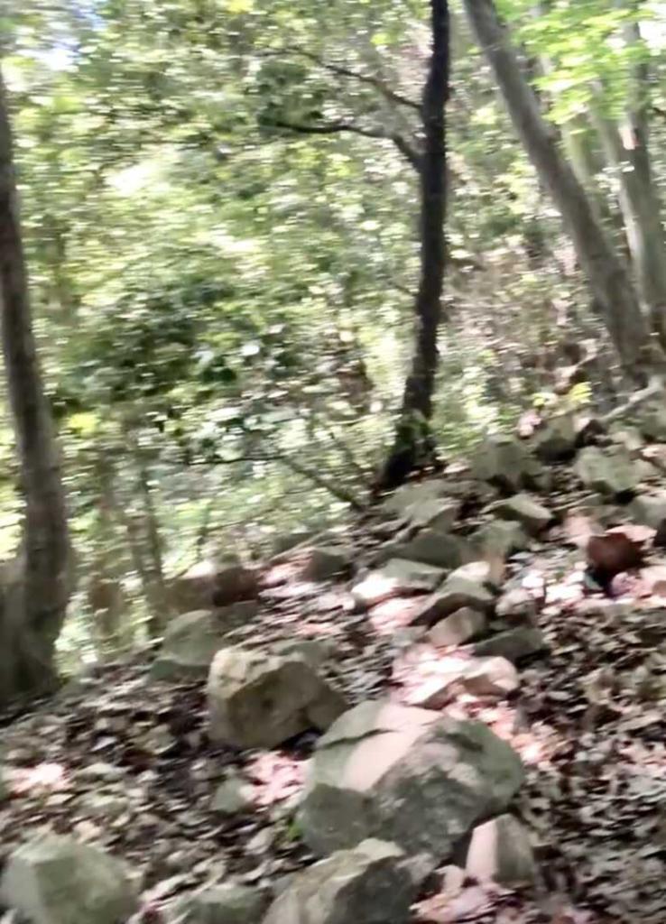 八王子城