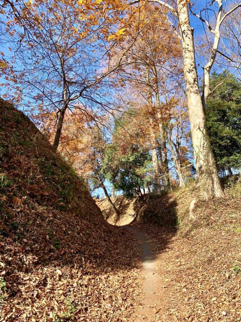 鉢形城