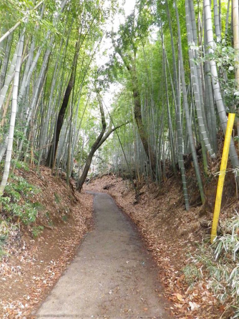 滝山城