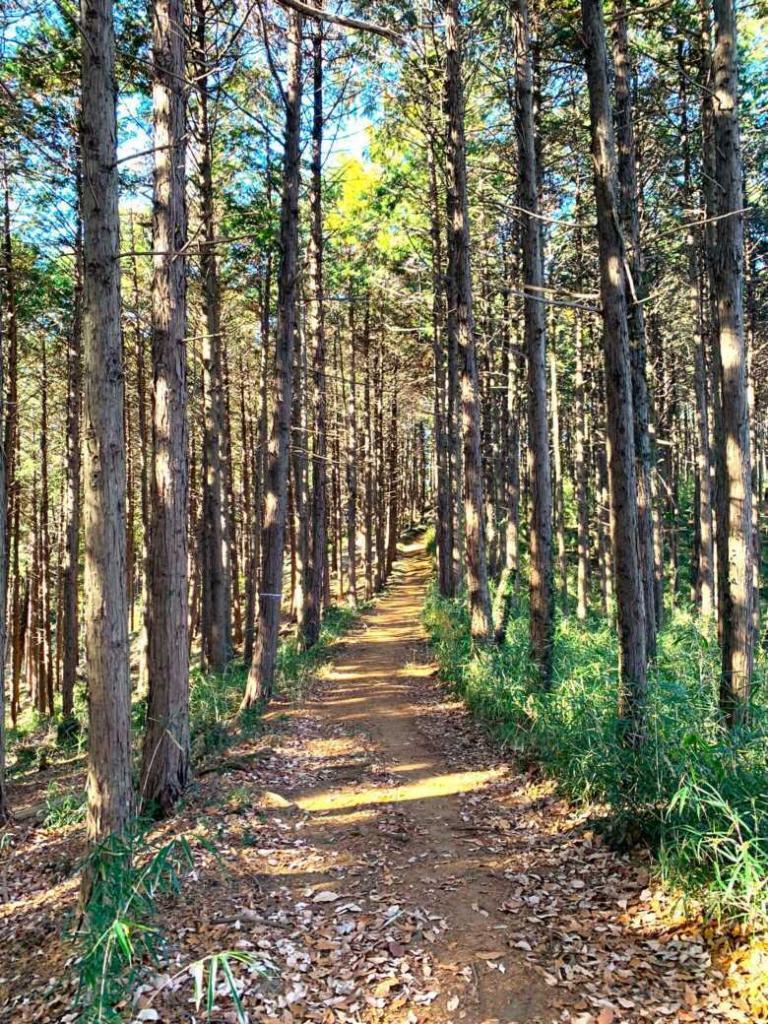 滝山城