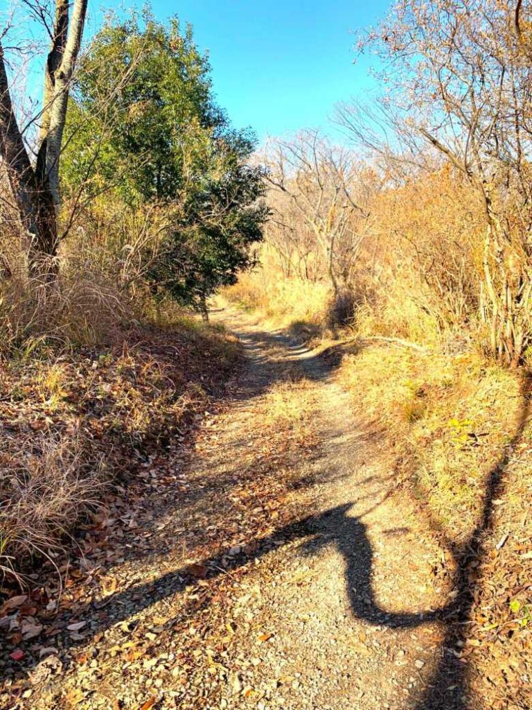 滝山城