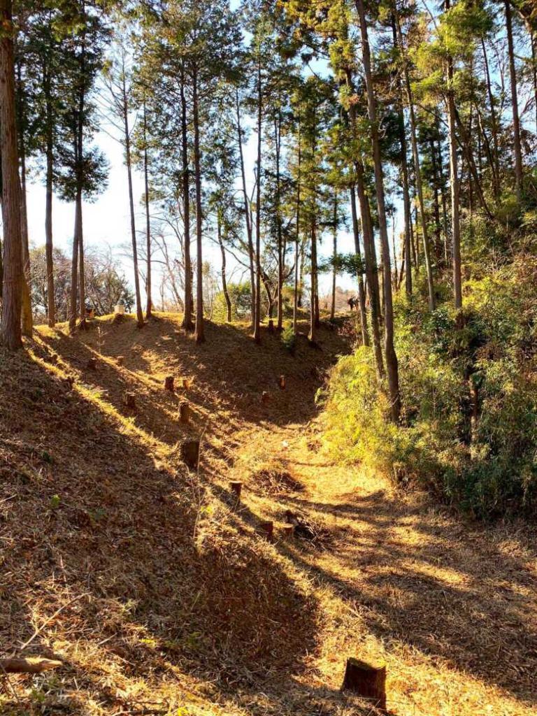 滝山城