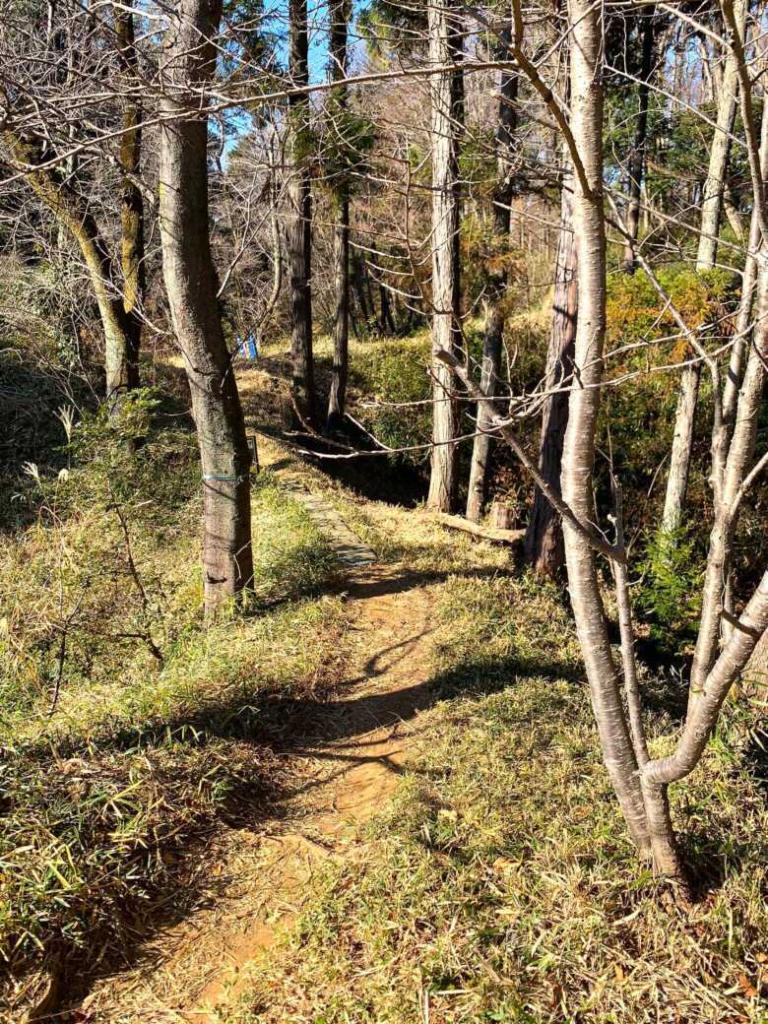 滝山城
