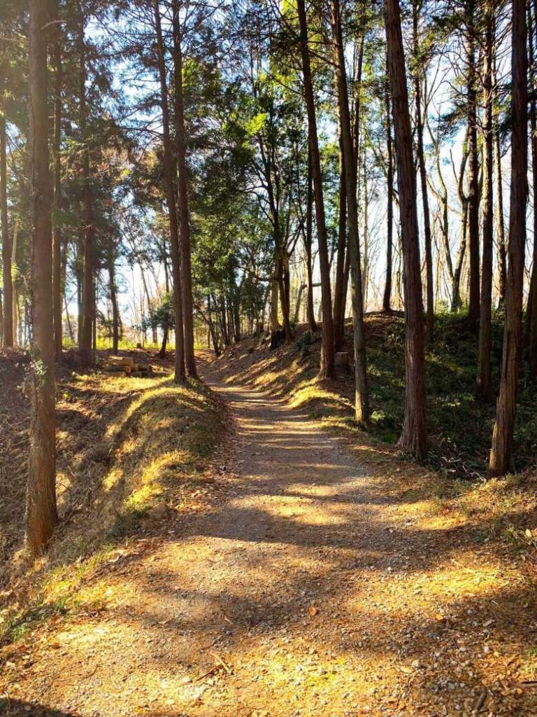 滝山城