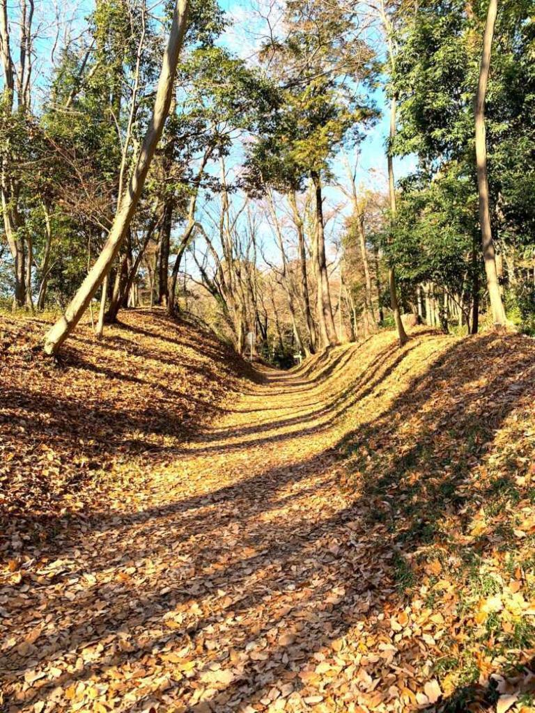 滝山城