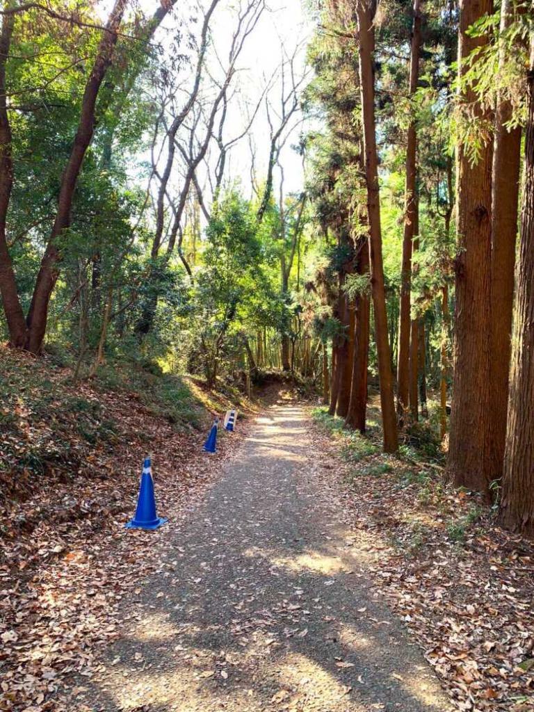 滝山城
