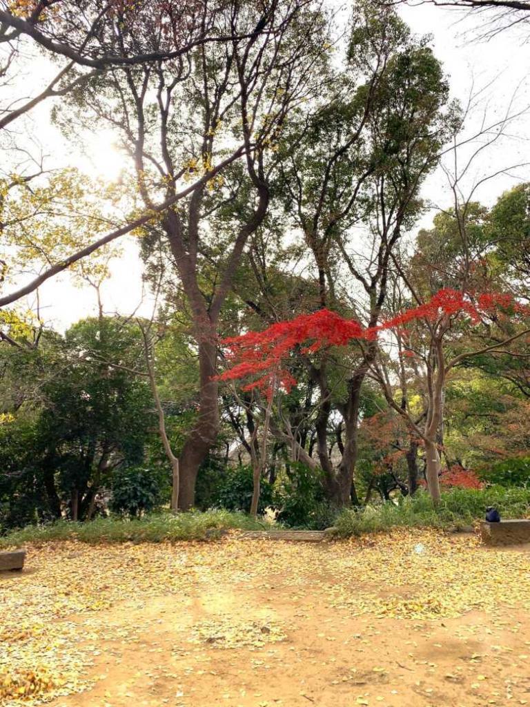 上野公園