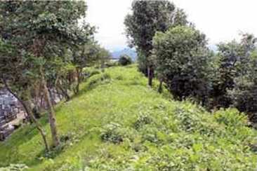 中津城