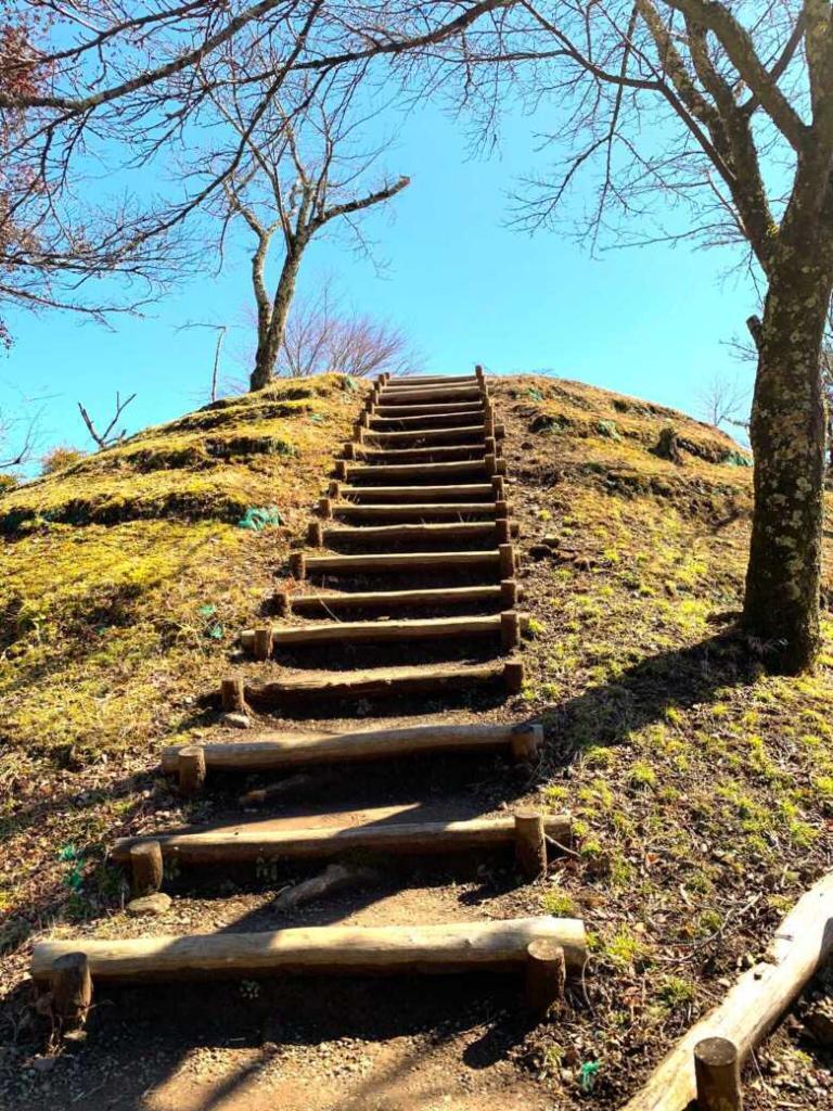 岩殿山城