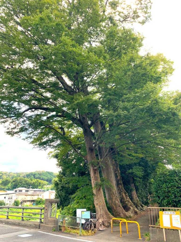 塩船観音