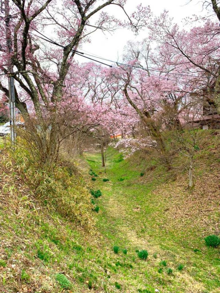 高遠城