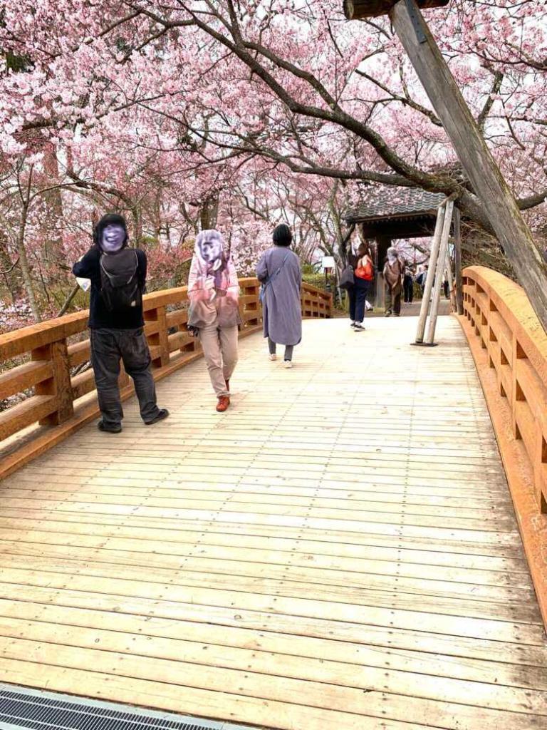 高遠城