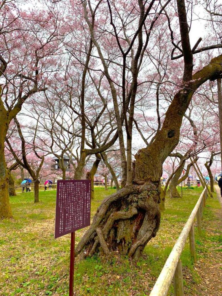 高遠城