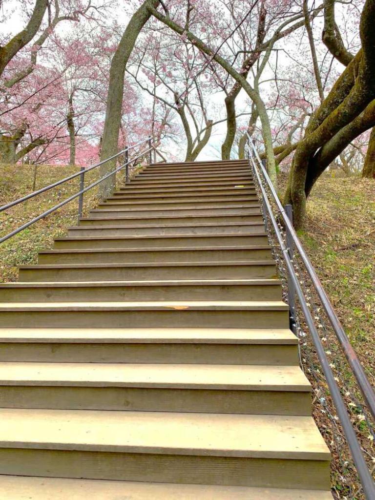 高遠城