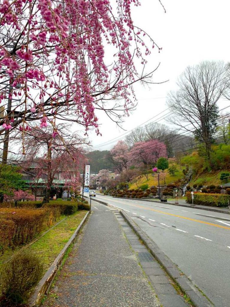 山翠