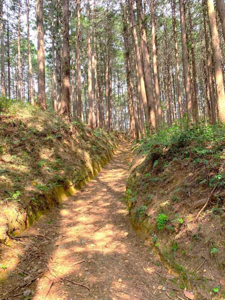 東青梅~金子
