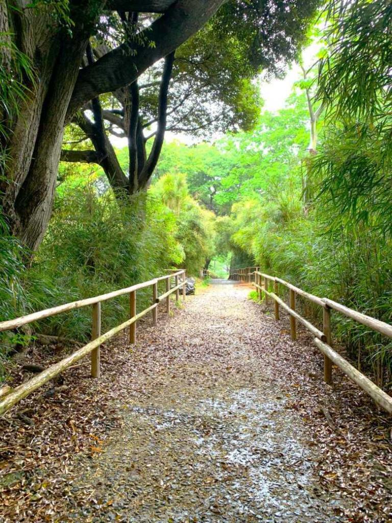 三渓園