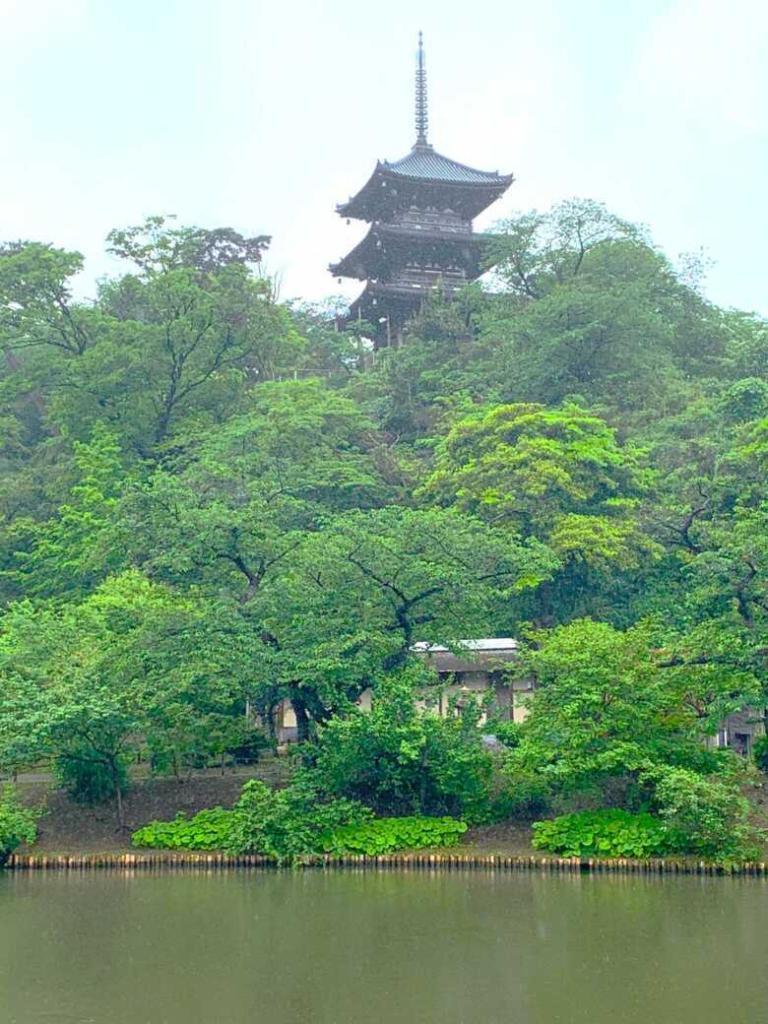 三渓園