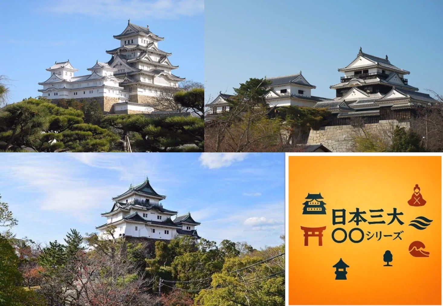 日本三大連立式平山城　日本三大シリーズ