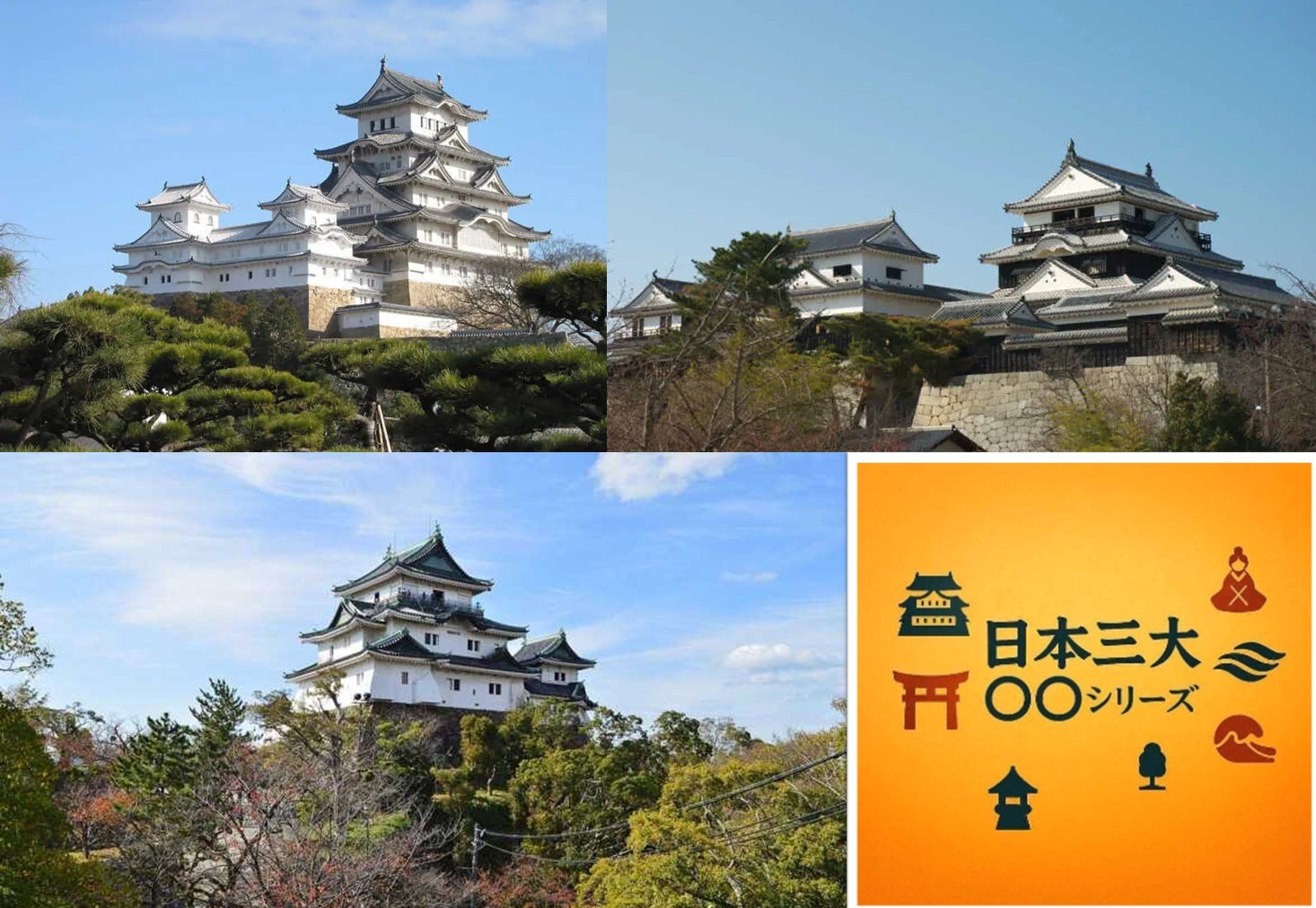 日本三大連立式平山城　日本三大シリーズ