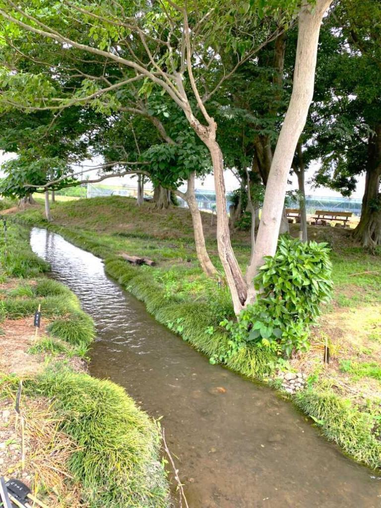 的場