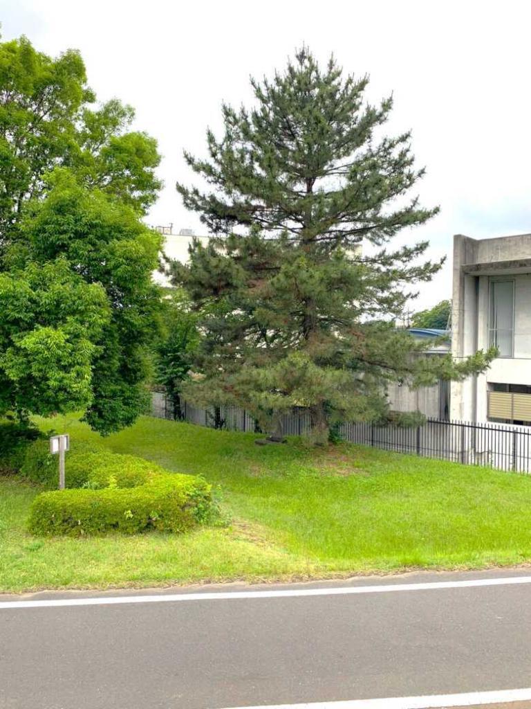 的場