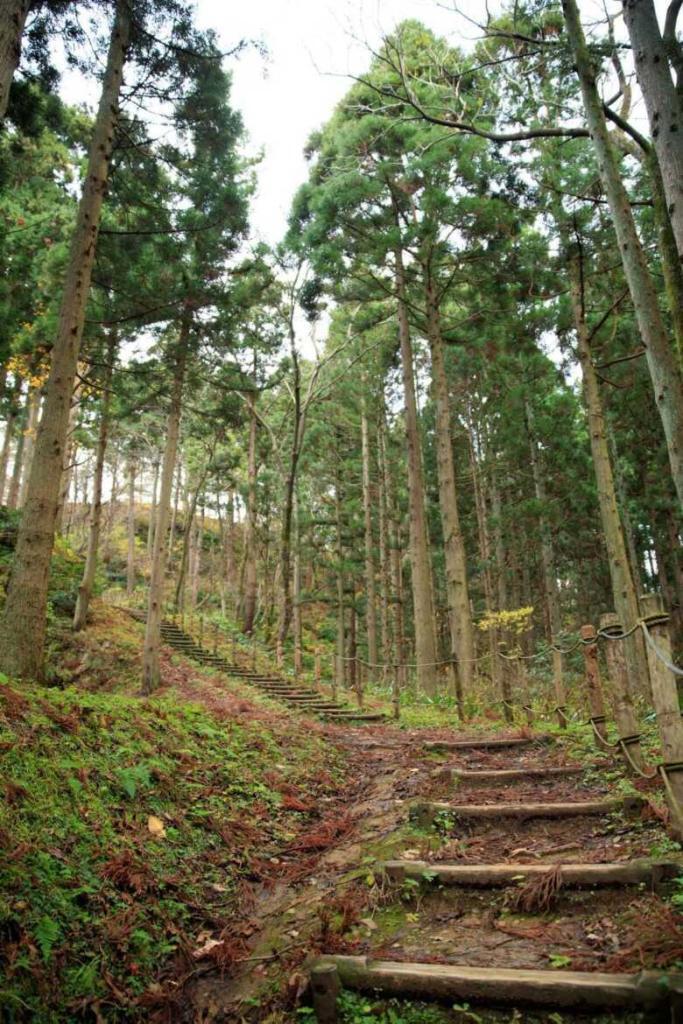 上越観光NaviのHP　春日山城　大手道https://joetsukankonavi.jp/spot/detail.php?id=133
