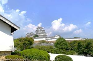 千姫ぼたん園付近からの姫路城・連立式の天守群