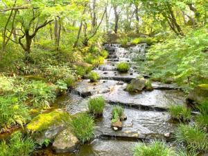 好古園 御屋敷の庭渡り廊下からの景色