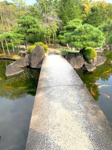 好古園 御屋敷の庭