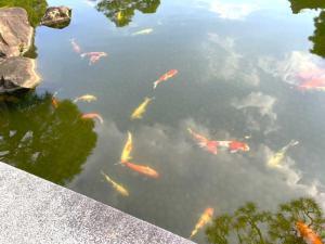 好古園 御屋敷の庭